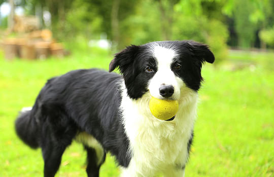 カフェ・ギャラリー「阿里美」